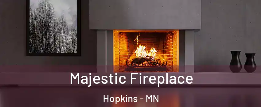  Majestic Fireplace Hopkins - MN